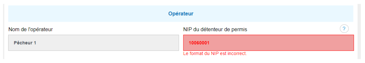 Exemple d'erreur de saisie